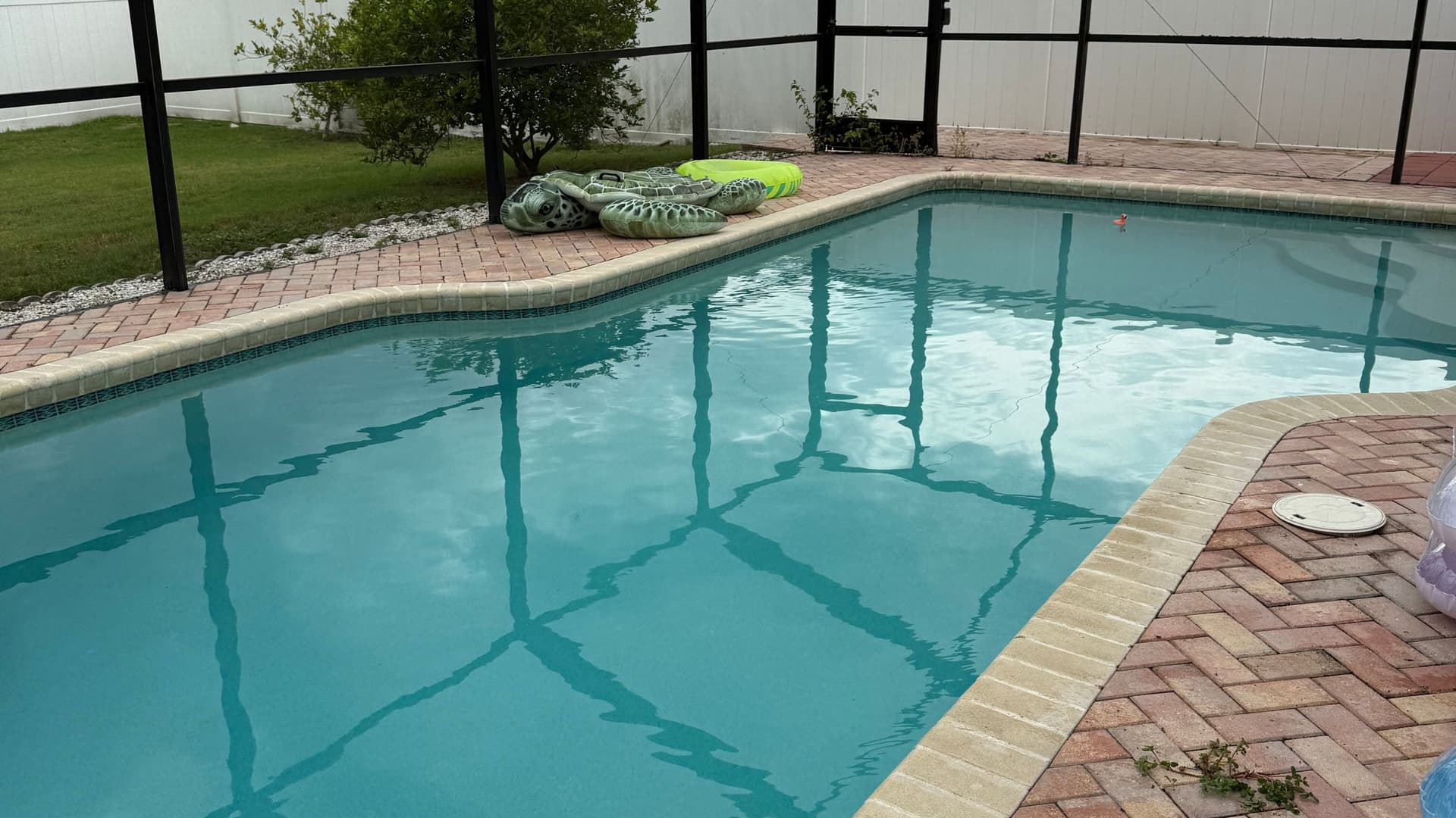 Kidney-shaped pool with crystal clear water, screen enclosure, and turtle floats