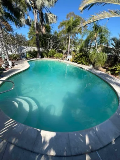 After - Green-to-Clean Pool Transformation - Largo FL