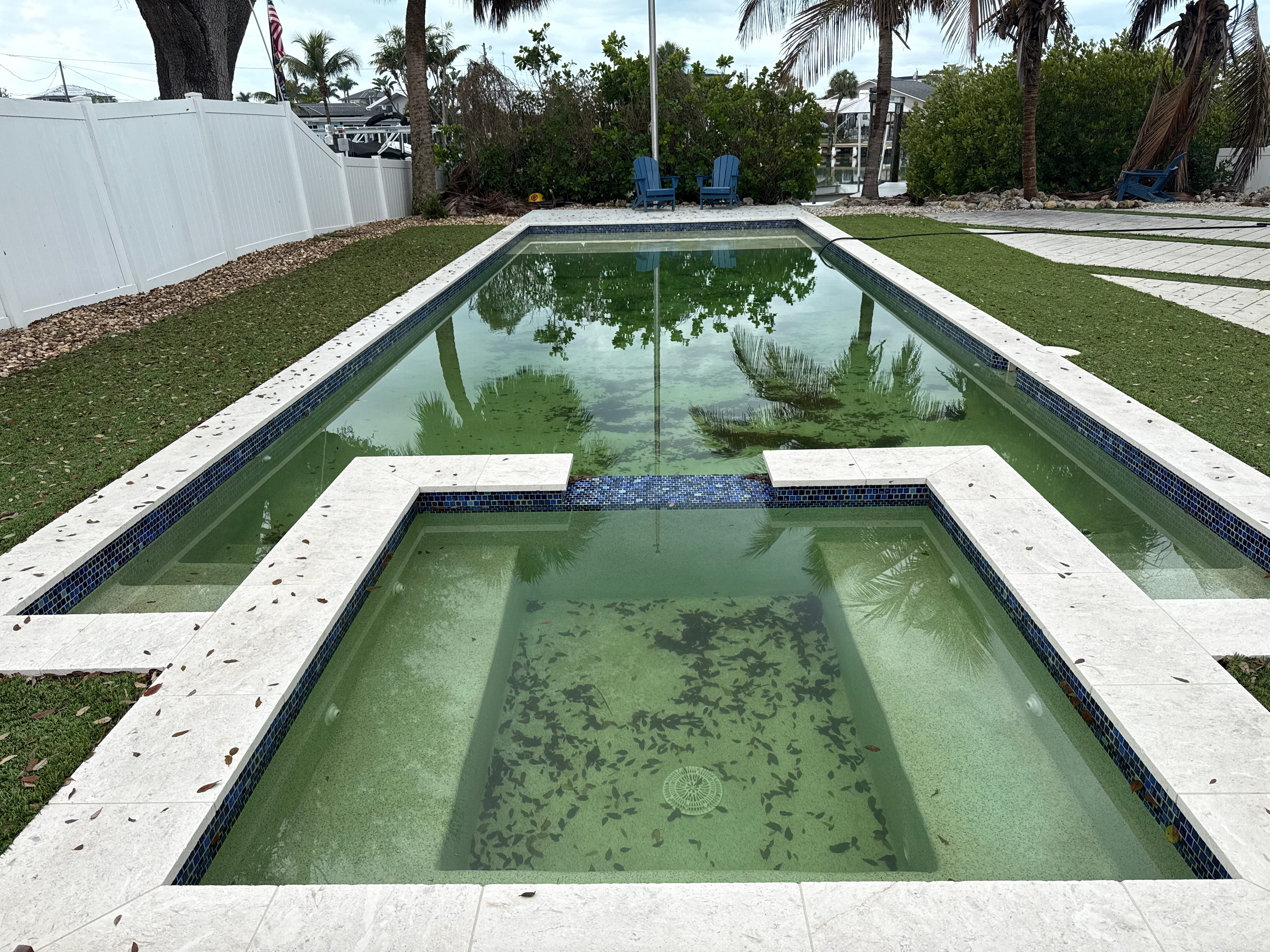 Green to clean pool and spa before - algae-filled green pool with debris in Largo FL 33778 Pinellas County